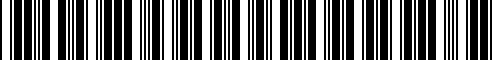 Barcode for 61319242983